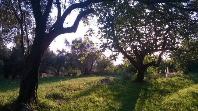 Land for Sale, Montenegro, Kotor region, Kavac | Villacarte