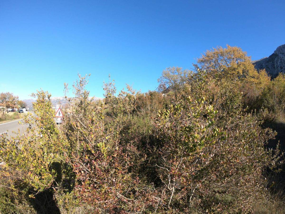 Land for Sale, Montenegro, Budva region, Blizikuce | Villacarte