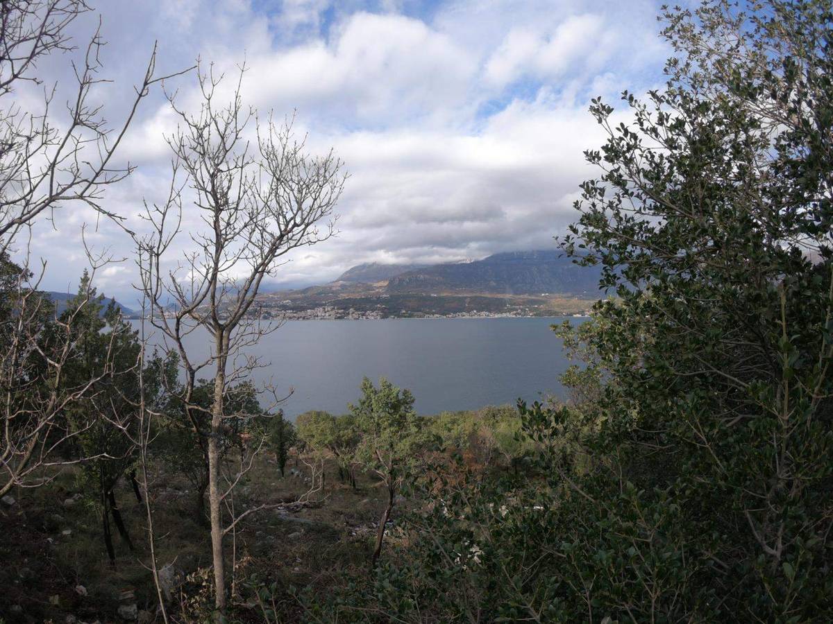 Land for Sale, Montenegro, Lustica Peninsula, Rose | Villacarte