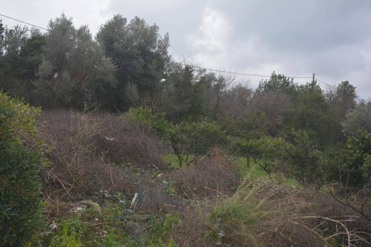 Land for Sale, Montenegro, Tivat region, Tivat | Villacarte