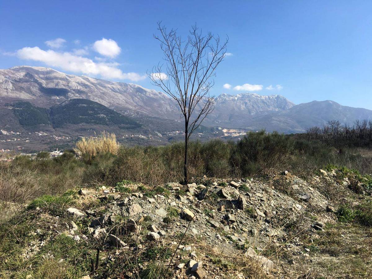 Land for Sale, Montenegro, Lustica Peninsula, Ljesevici | Villacarte