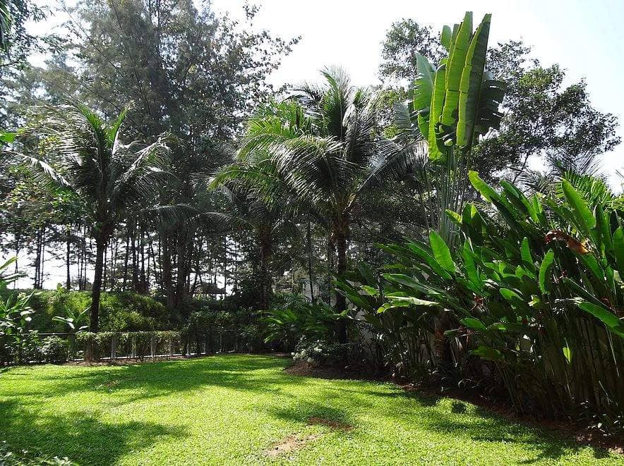 Rent apartments Pearl of Naithon AG01, Thailand, Phuket, Nai Ton | Villacarte