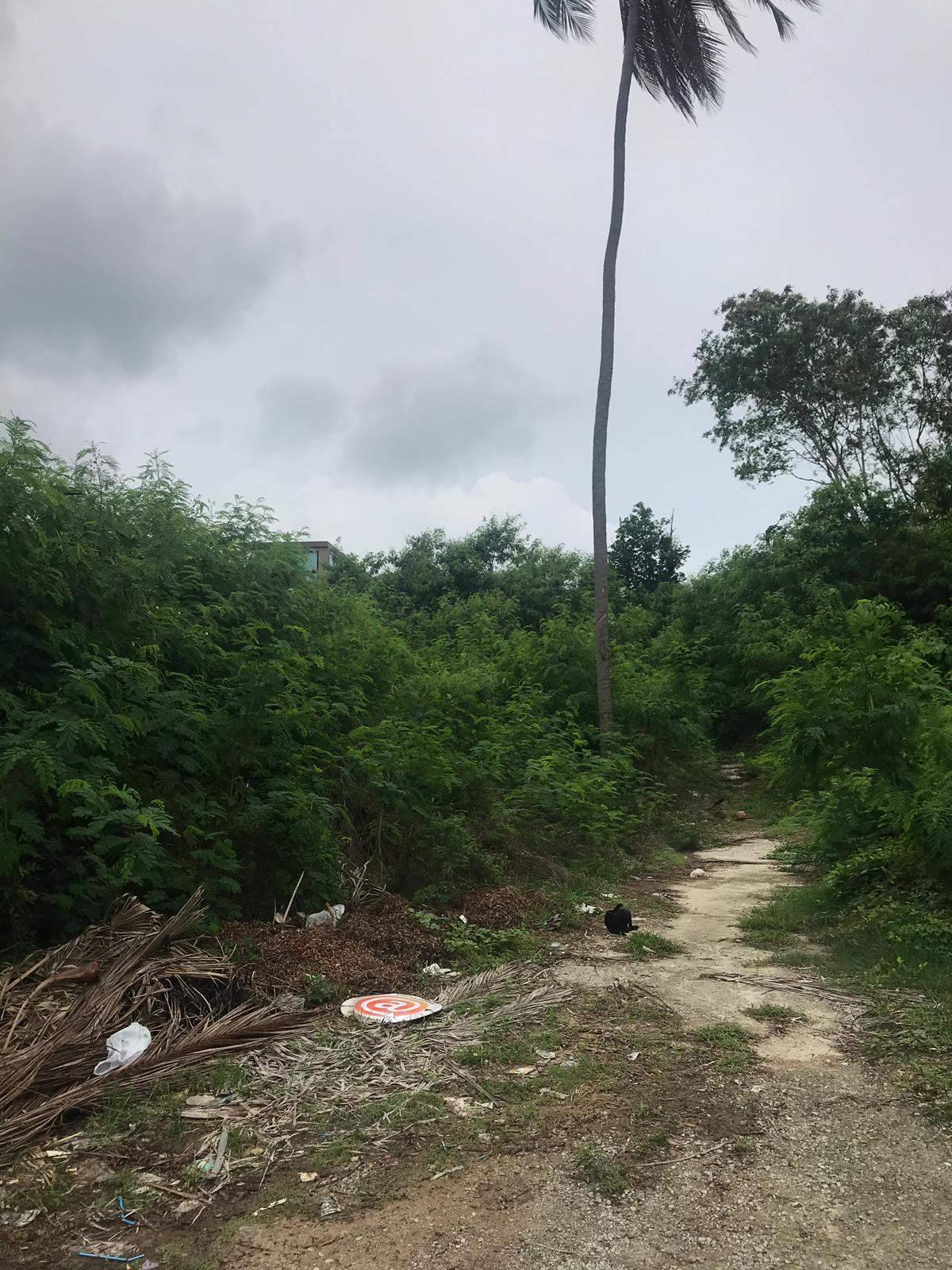 Land for Sale, Thailand, Phuket, Panva | Villacarte