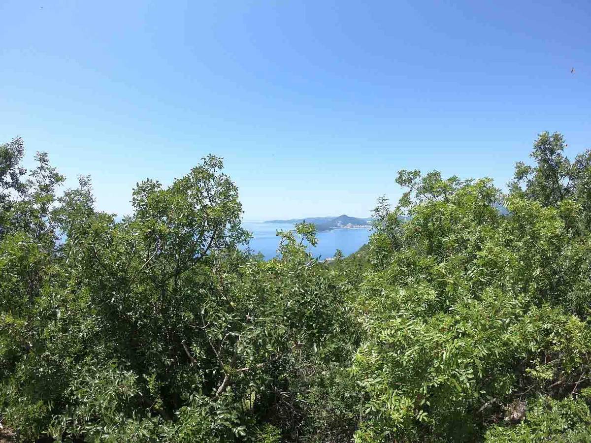 Land for Sale, Montenegro, Budva region, Blizikuce | Villacarte