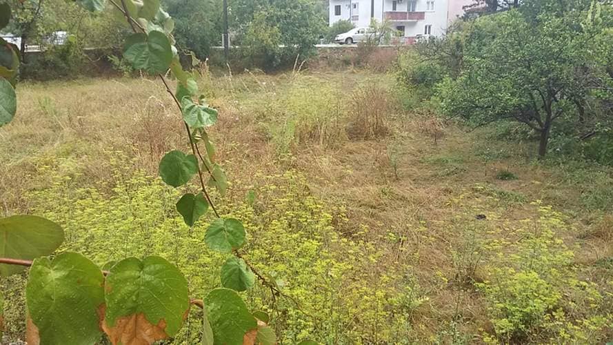 Продажа земельных участков, Черногория, Регион Херцег Нови, Игало | Villacarte