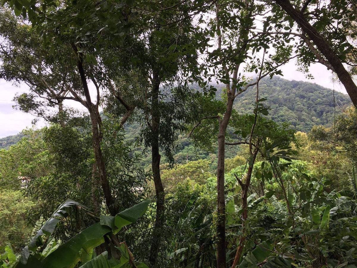 Land for Sale, Thailand, Phuket, Kata | Villacarte