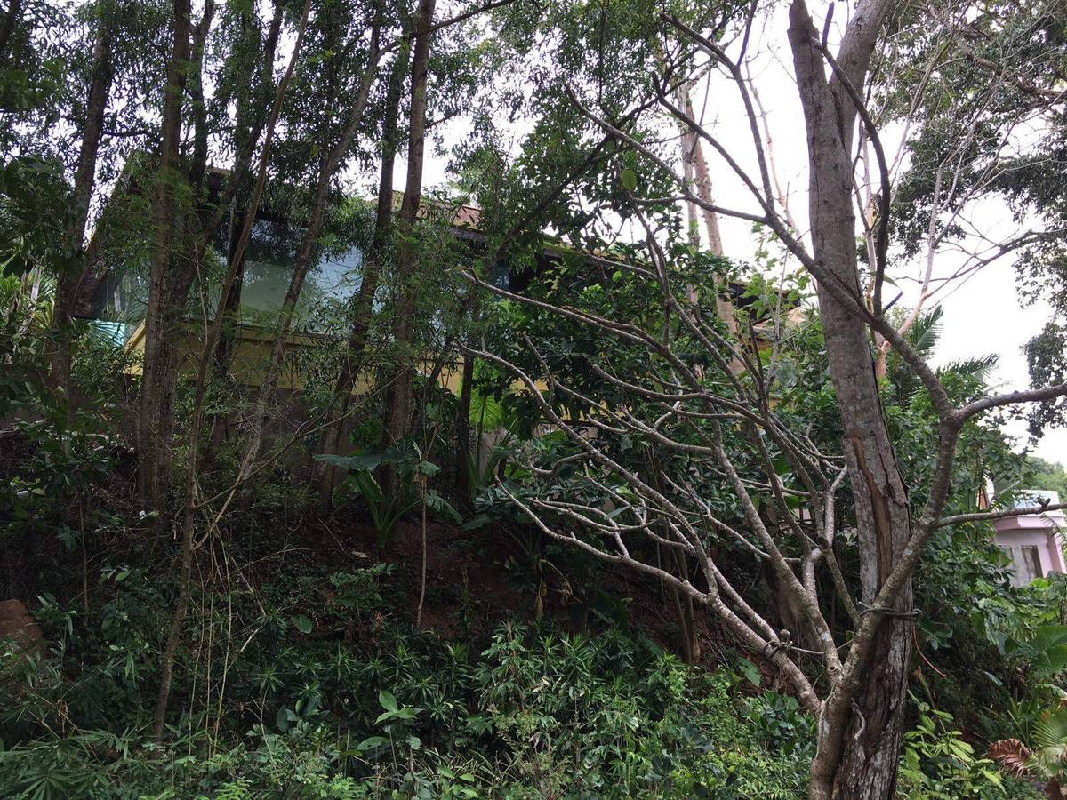 Land for Sale, Thailand, Phuket, Kata | Villacarte