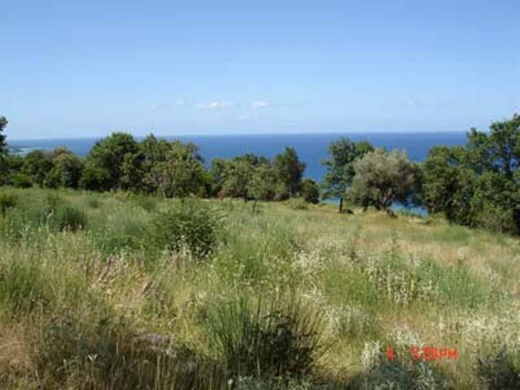 Land for Sale, Montenegro, Bar region, Dobra Voda | Villacarte