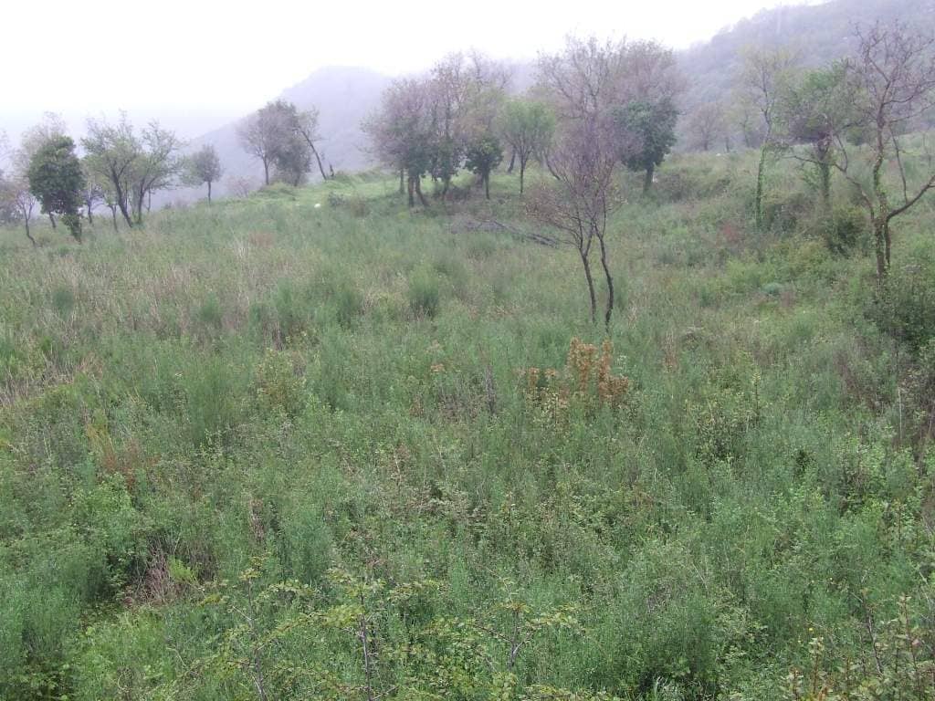 Land for Sale, Montenegro, Bar region, Dobra Voda | Villacarte