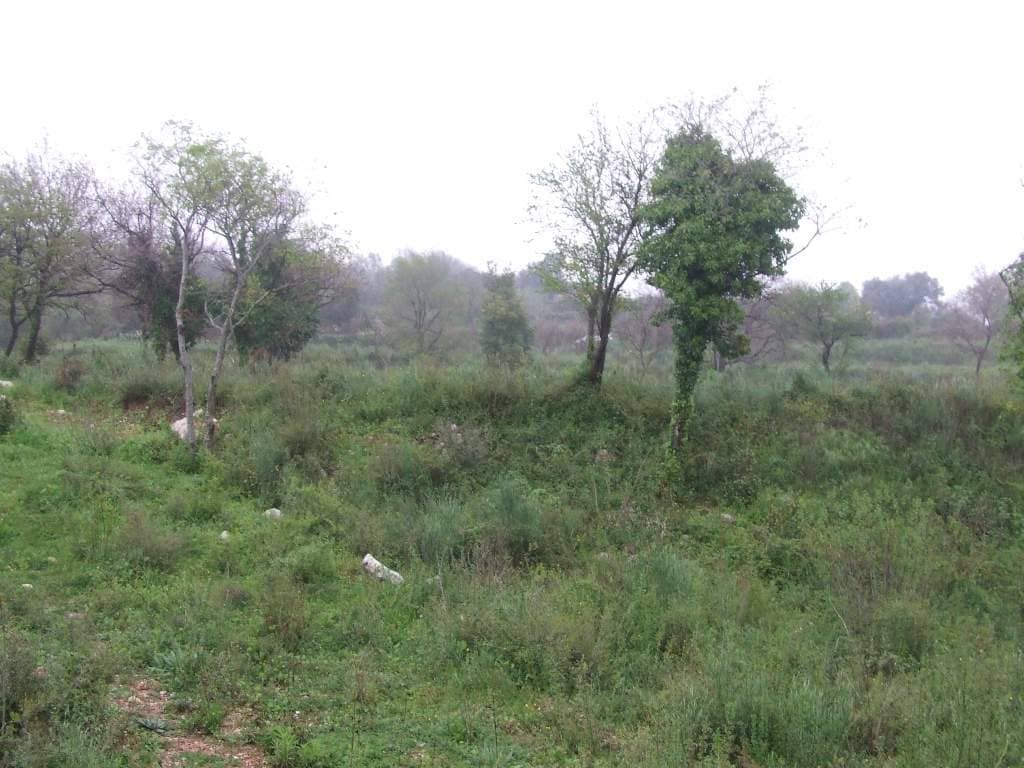 Land for Sale, Montenegro, Bar region, Dobra Voda | Villacarte