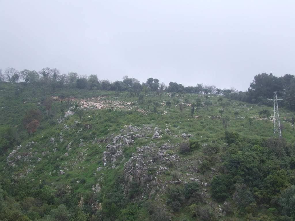 Land for Sale, Montenegro, Bar region, Dobra Voda | Villacarte