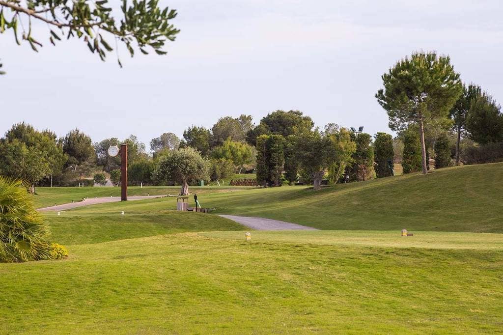 Property for Sale  LAS COLINAS, Spain, Costa Blanca, San Miguel de Salinas | Villacarte