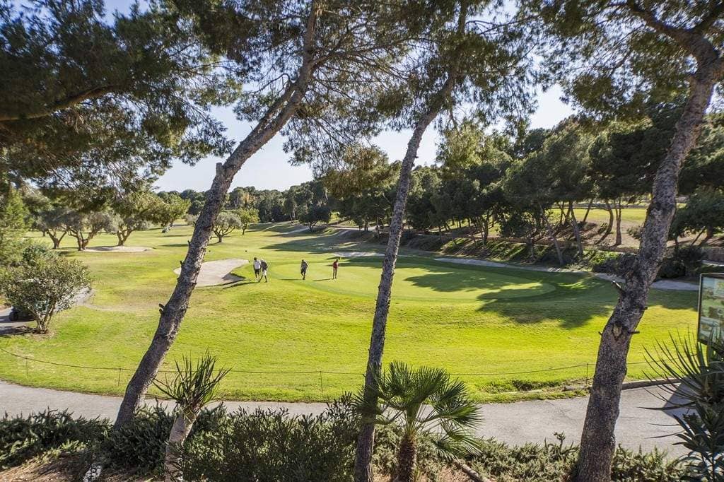 Property for Sale  VILLAMARTÍN GARDENS II - 3 BEDROOMS , Spain, Costa Blanca, Orihuela Costa | Villacarte