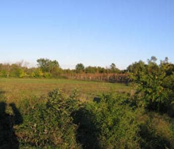 Land for Sale, Montenegro, Ulcinj region, Ulcinj | Villacarte