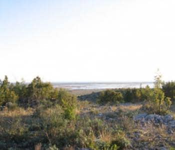 Land for Sale, Montenegro, Ulcinj region, Ulcinj | Villacarte