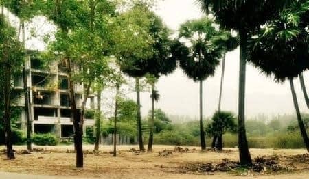 Land for Sale, Thailand, Phuket, Bang Tao | Villacarte