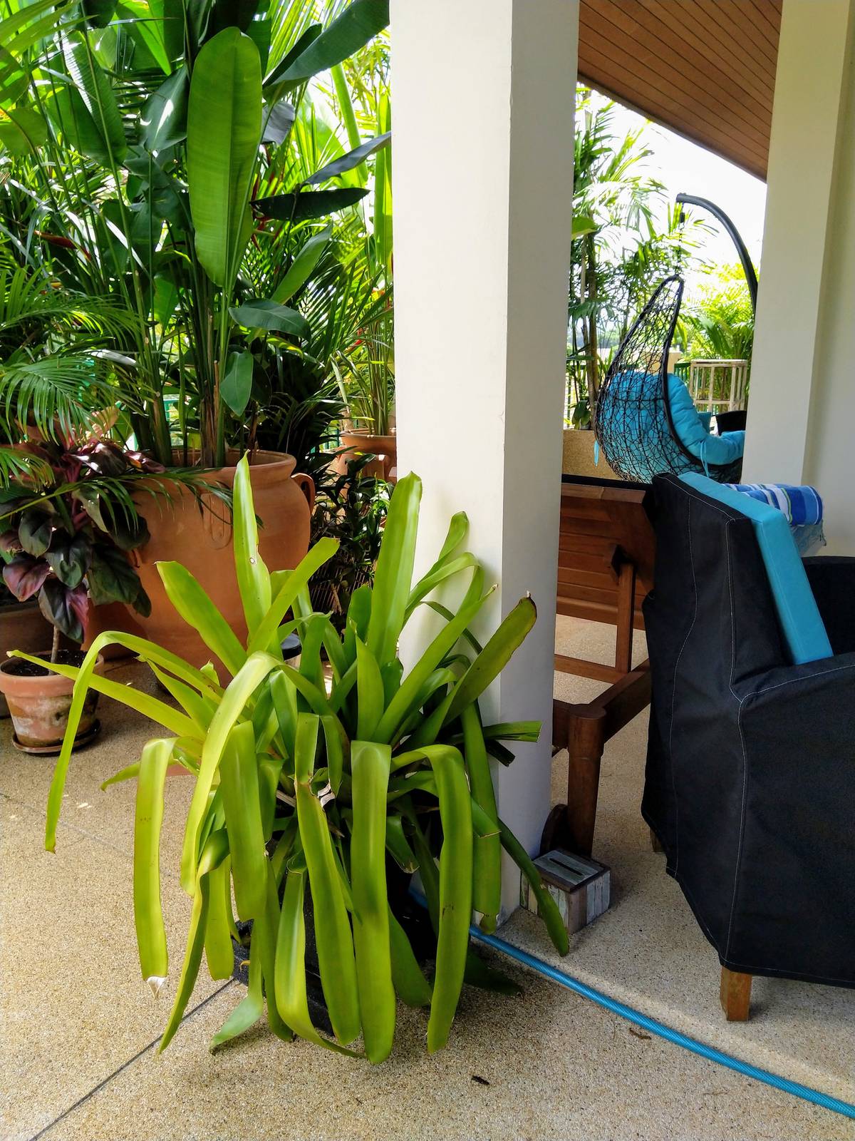 Продажа недвижимости Baan Puri, Таиланд, Пхукет, Банг Тао | Villacarte