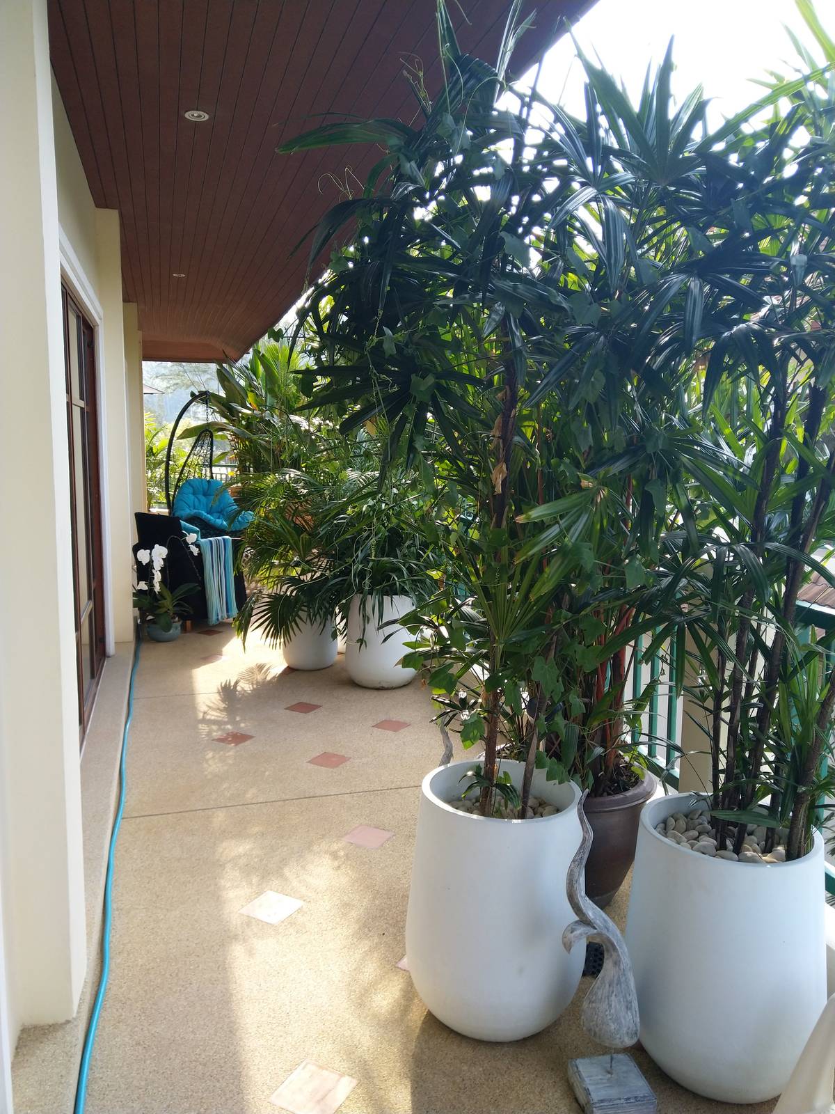 Продажа недвижимости Baan Puri, Таиланд, Пхукет, Банг Тао | Villacarte