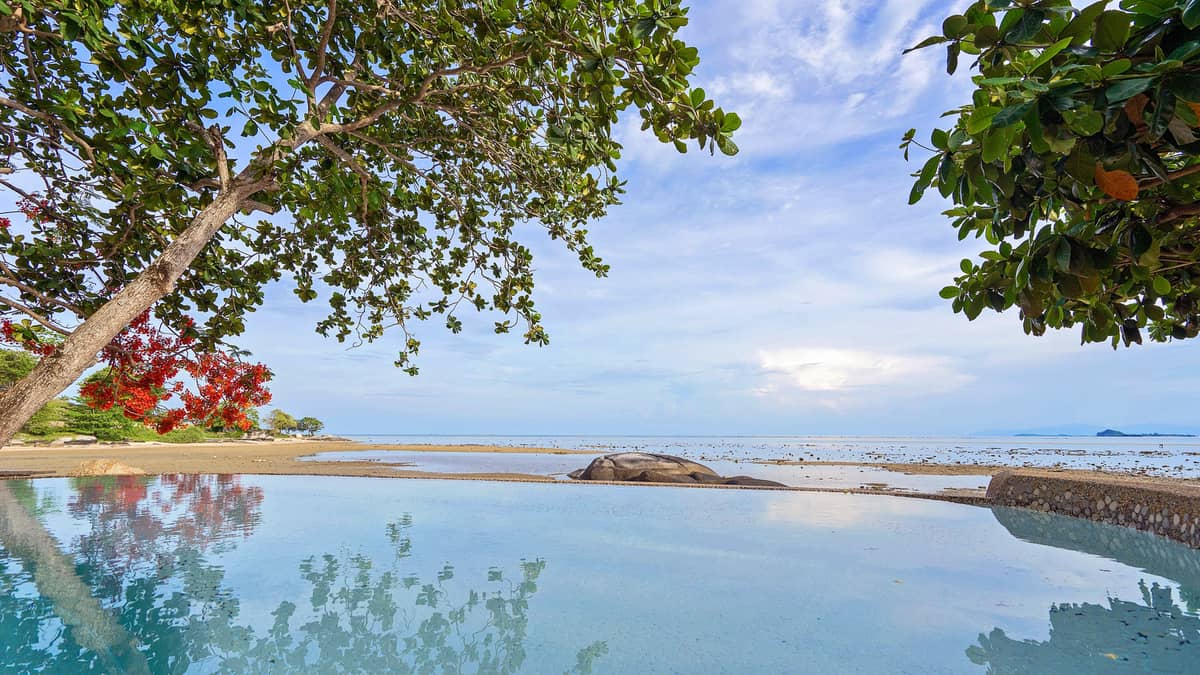 Rent villa Daisy, Thailand, Samui, Bang Kao | Villacarte