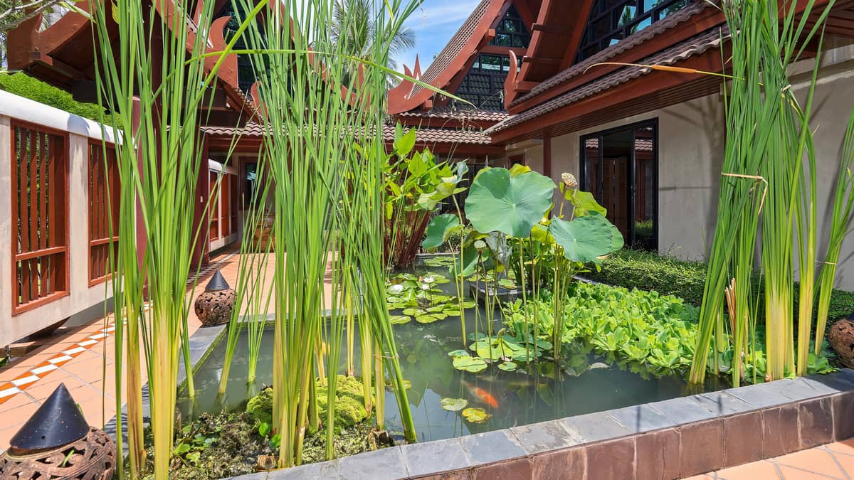 Rent villa Daisy, Thailand, Samui, Bang Kao | Villacarte