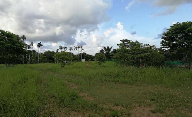Land for Sale, Thailand, Phuket, Chalong | Villacarte