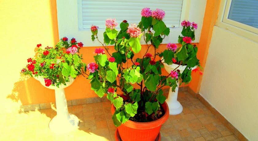 Hotel for Sale , Montenegro, Bar region, Sutomore | Villacarte