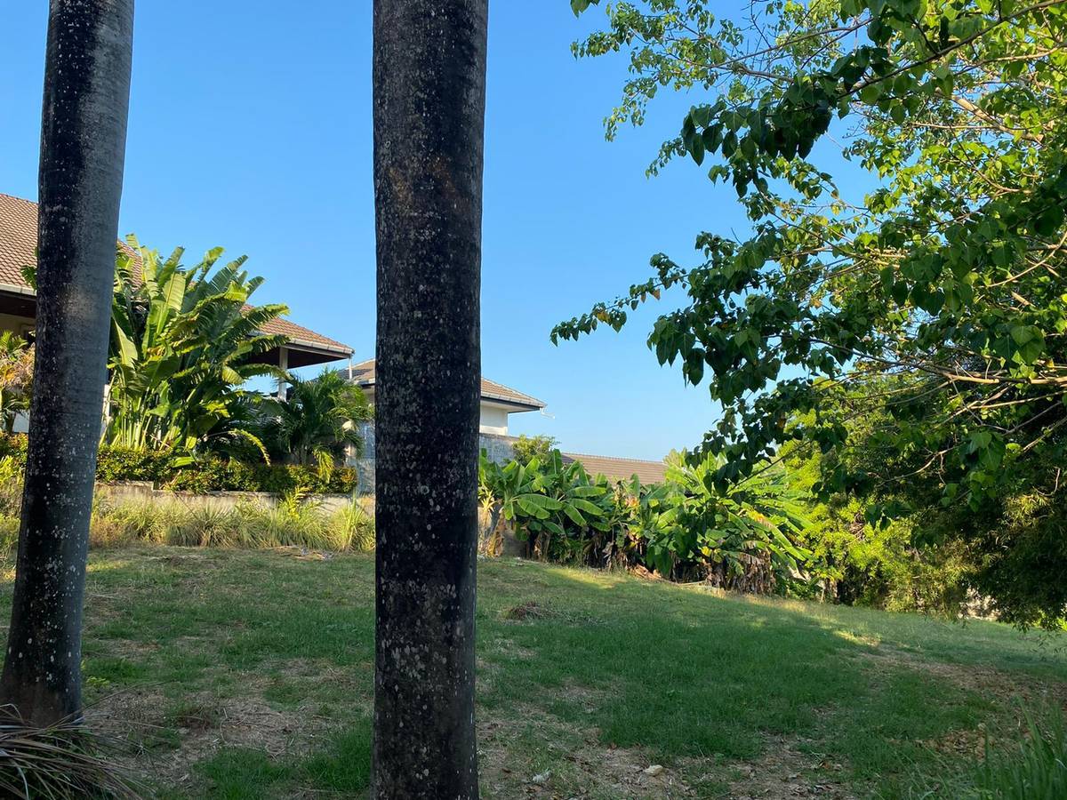 Land for Sale, Thailand, Phuket, Rawai | Villacarte