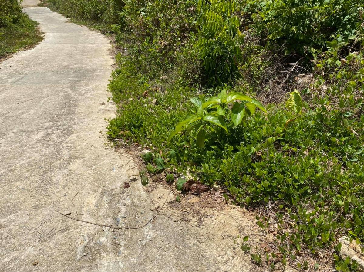 Land for Sale, Thailand, Phuket, Rawai | Villacarte