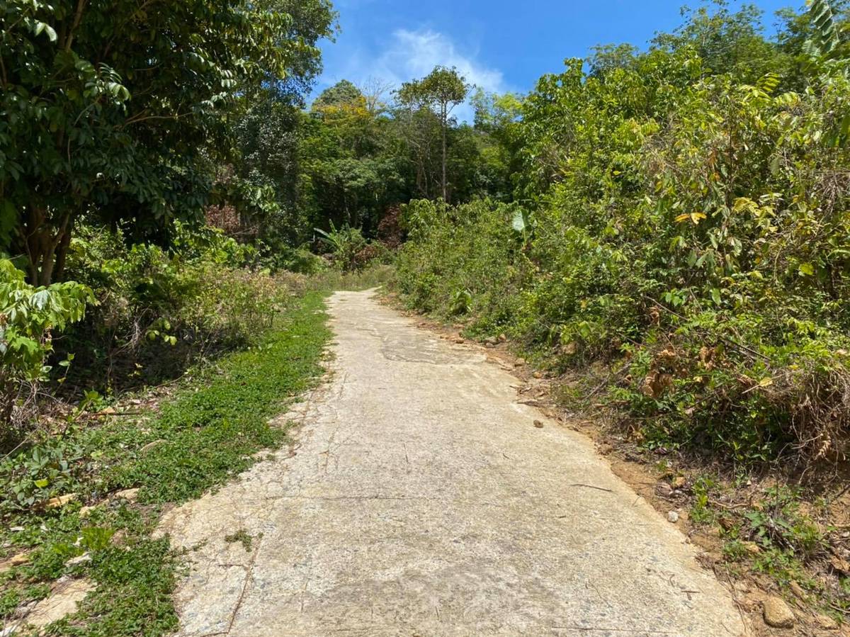 Land for Sale, Thailand, Phuket, Rawai | Villacarte