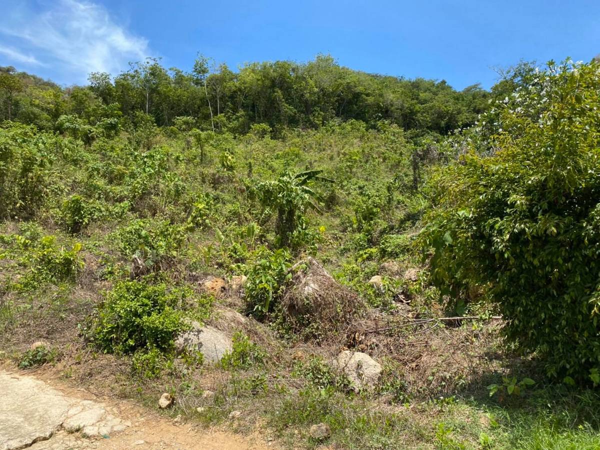 Land for Sale, Thailand, Phuket, Rawai | Villacarte