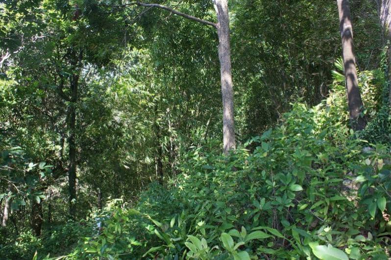 Land for Sale, Thailand, Phuket, Kamala | Villacarte