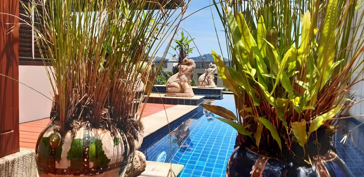 Rent villa Cattleya С5, Thailand, Phuket, Kalim | Villacarte