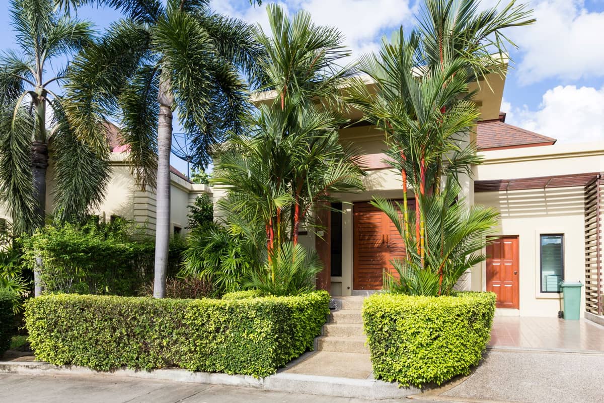 Rent villa PTR 13, Thailand, Phuket, Nai Harn | Villacarte