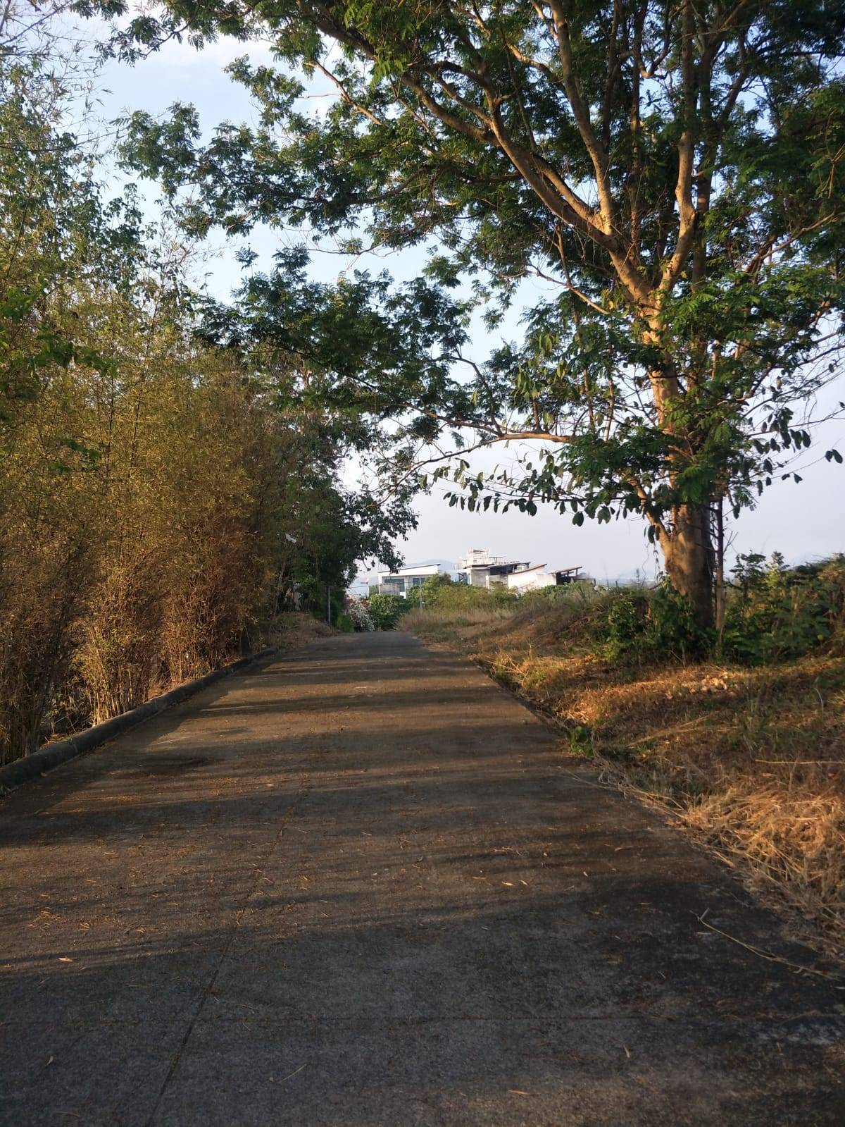 Land for Sale, Thailand, Phuket, Rawai | Villacarte