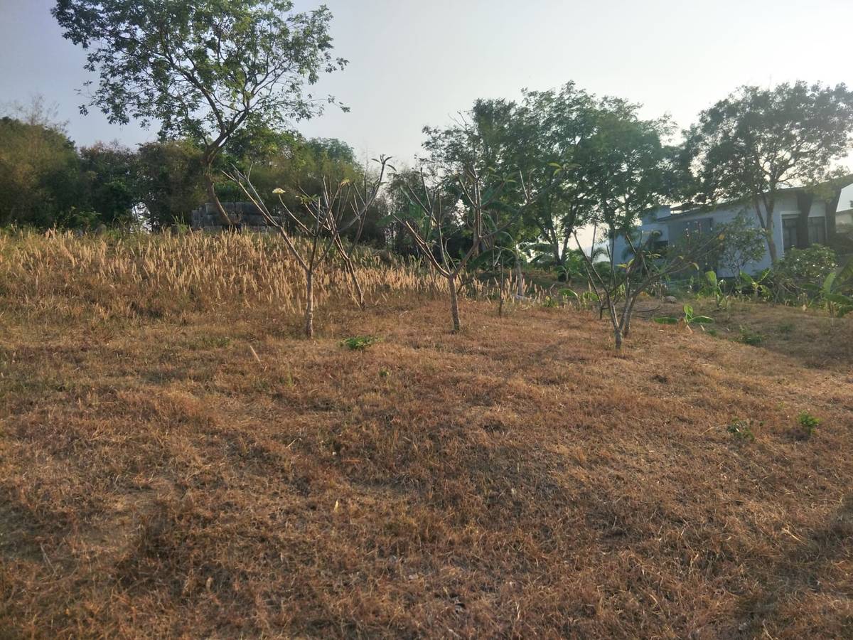 Land for Sale, Thailand, Phuket, Rawai | Villacarte