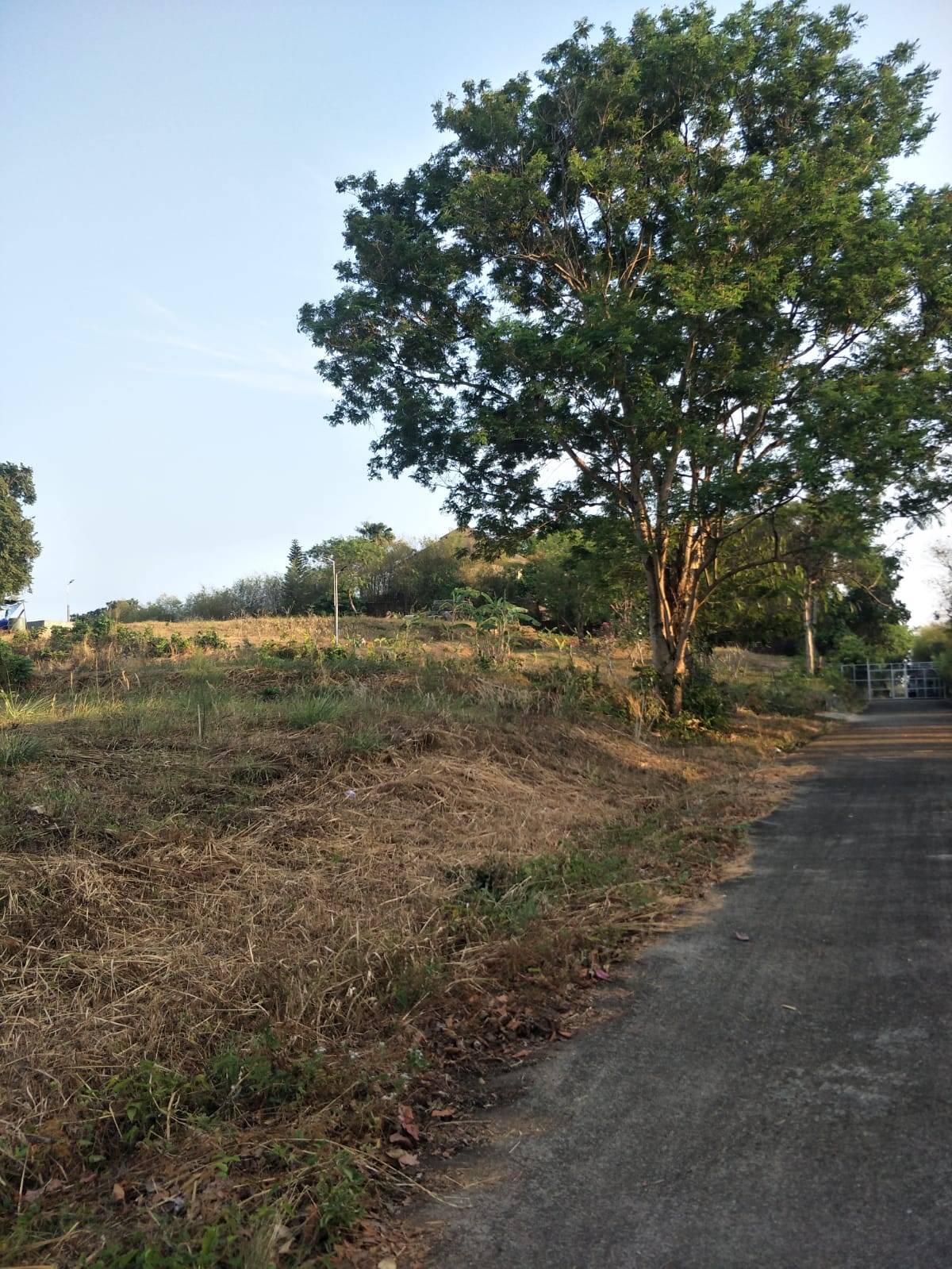 Land for Sale, Thailand, Phuket, Rawai | Villacarte