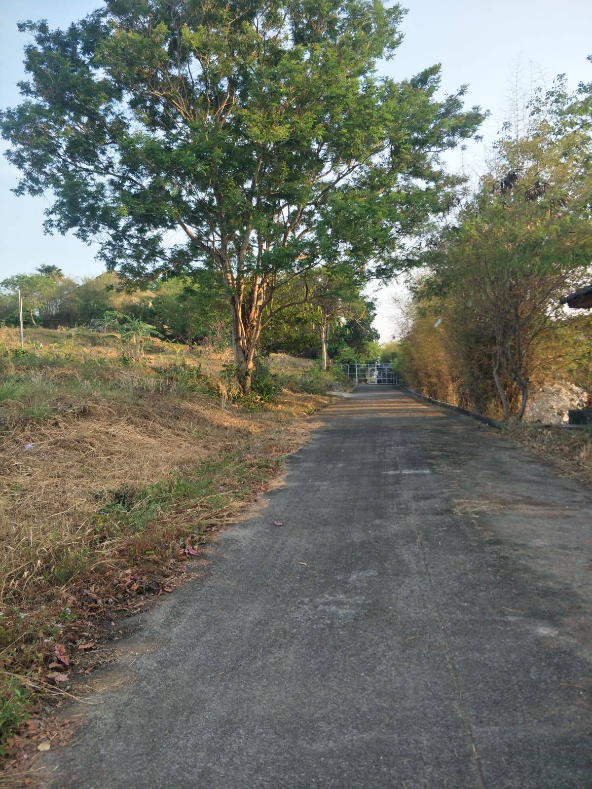 Land for Sale, Thailand, Phuket, Rawai | Villacarte