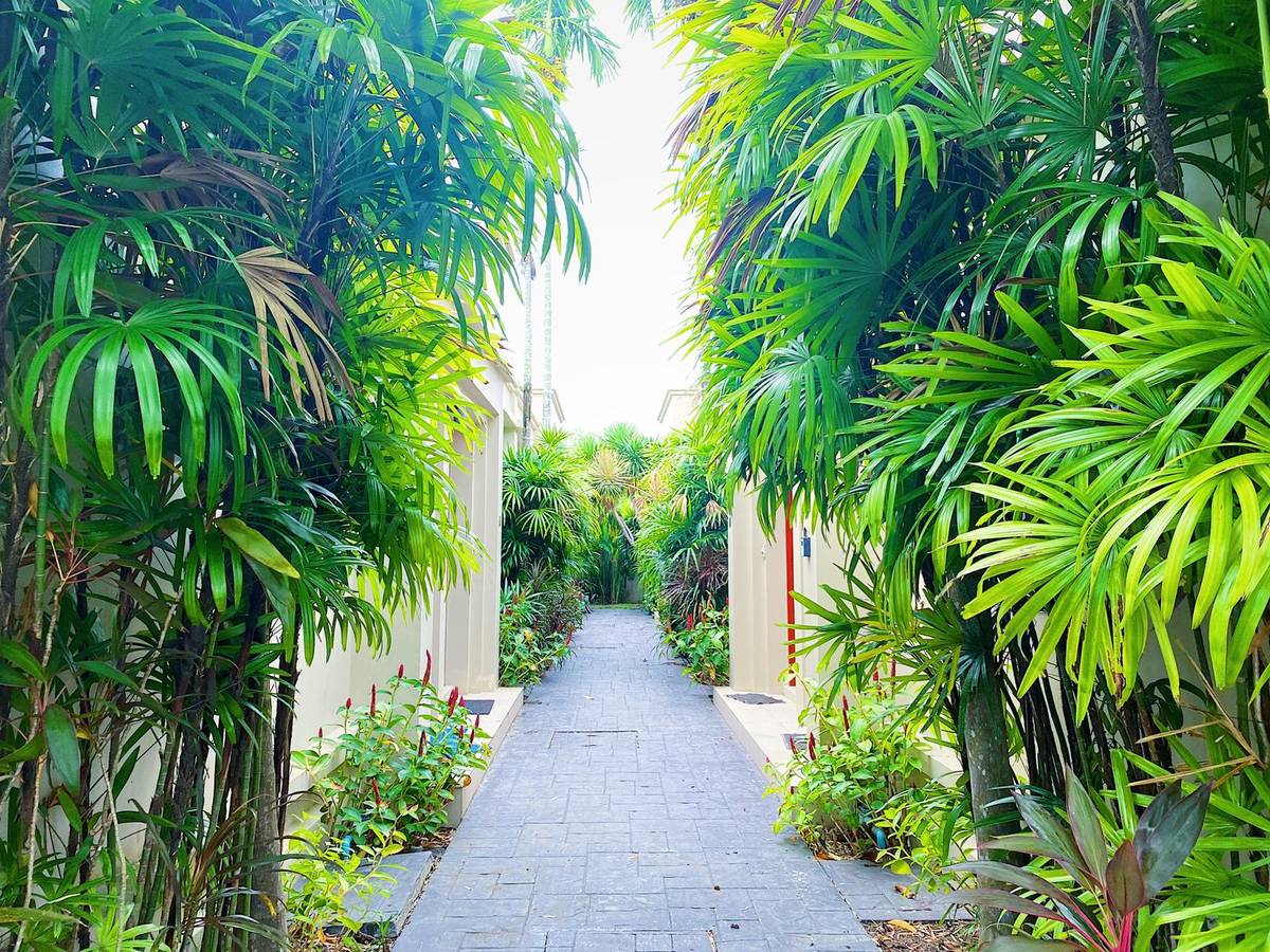Rent villa The Residence 238, Thailand, Phuket, Bang Tao | Villacarte