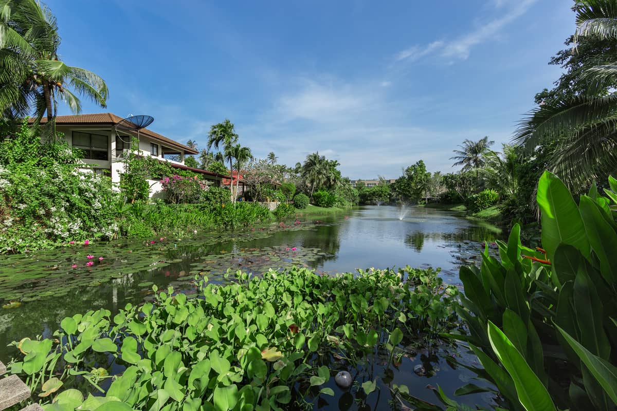 Property for Sale Surin Springs, Thailand, Phuket, Surin | Villacarte