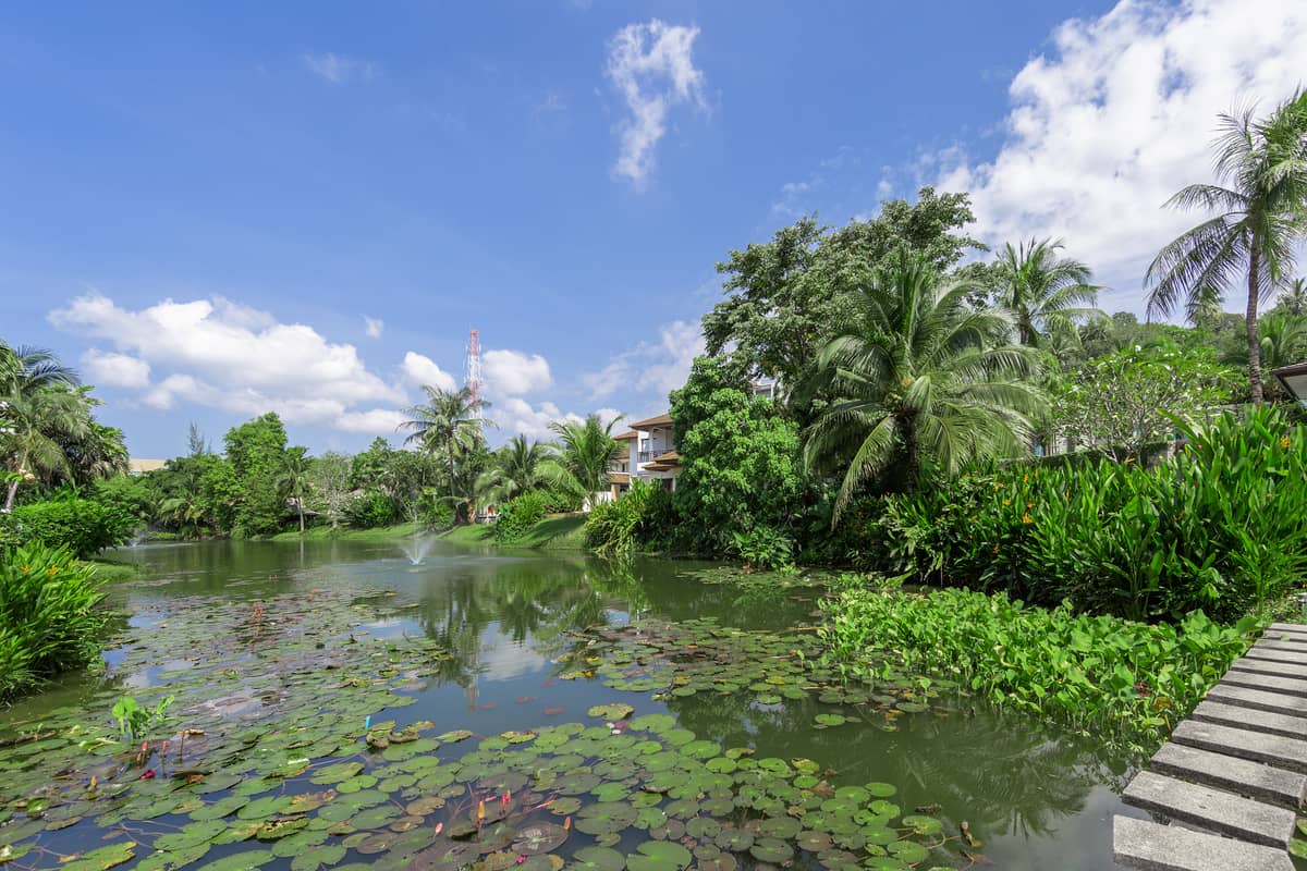 Property for Sale Surin Springs, Thailand, Phuket, Surin | Villacarte