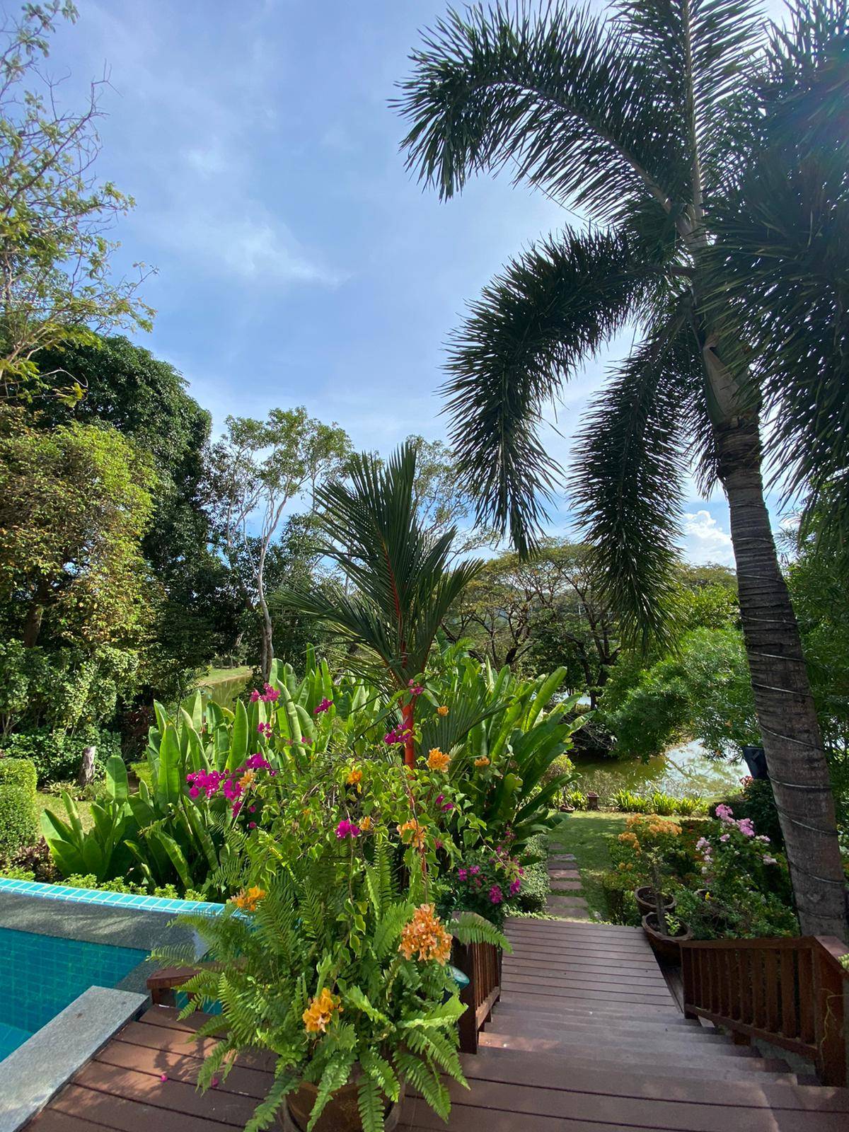 Rent villa Baan - Bua, Thailand, Phuket, Nai Harn | Villacarte