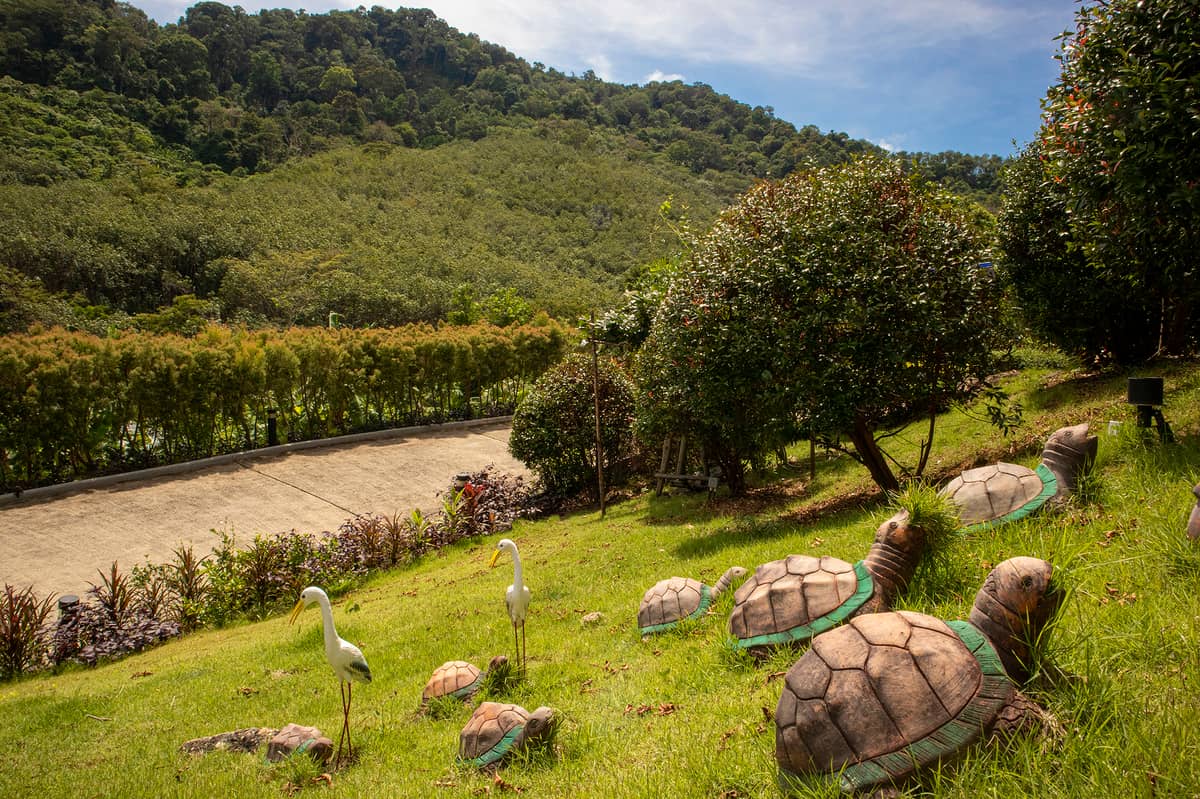 Rent villa Sabai Ta Sook Jai, Thailand, Phuket, Rawai | Villacarte