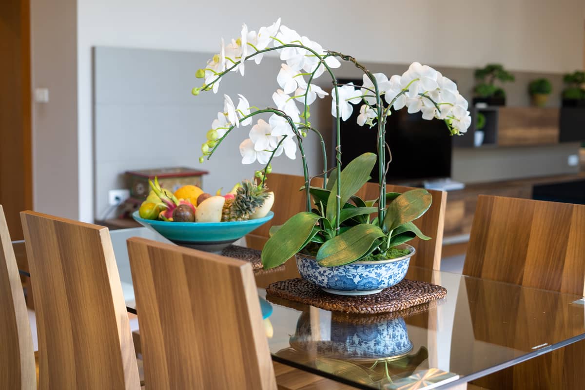 Rent villa Tanode 514, Thailand, Phuket, Bang Tao | Villacarte