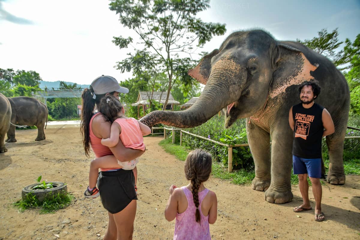 Elephant Jungle Sanctuary | Phuket - Land Tours together with VillaCarte
