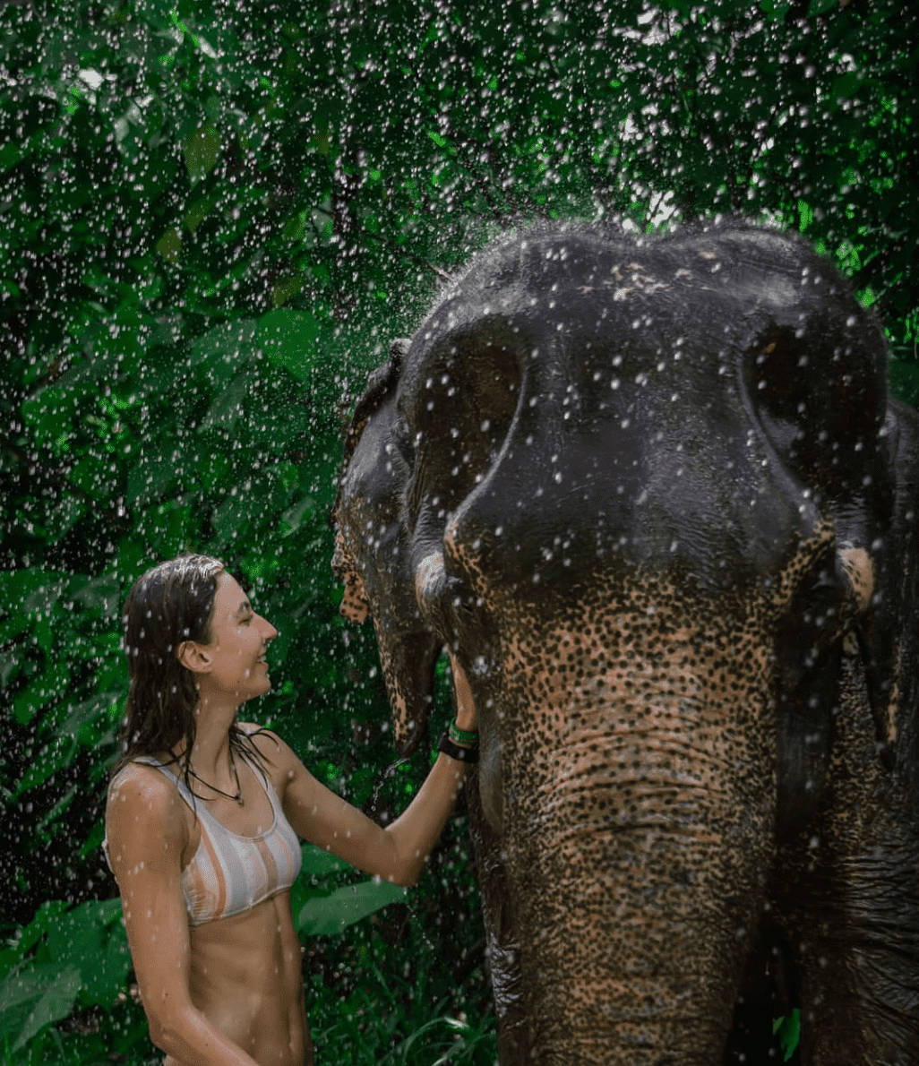 Elephant Jungle Sanctuary | Phuket - Land Tours together with VillaCarte