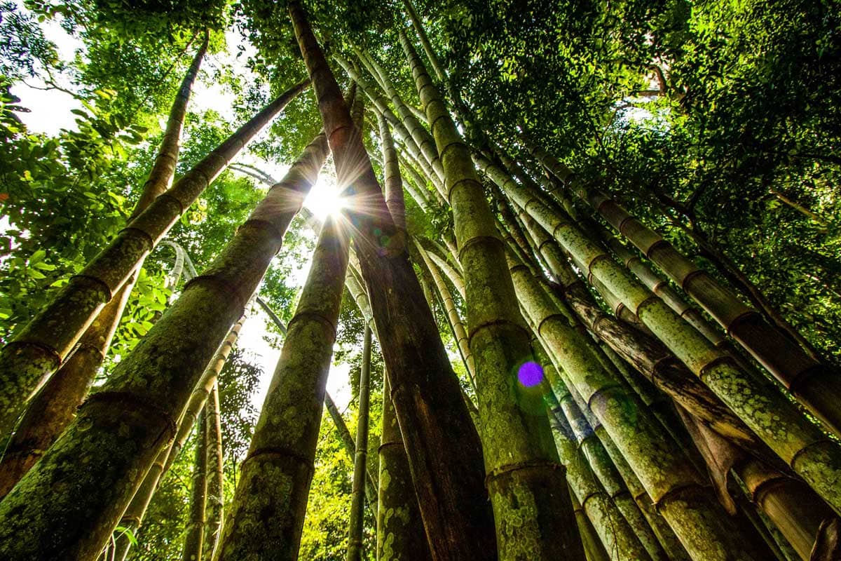 Private Khao Lak | Phuket - Land Tours together with VillaCarte