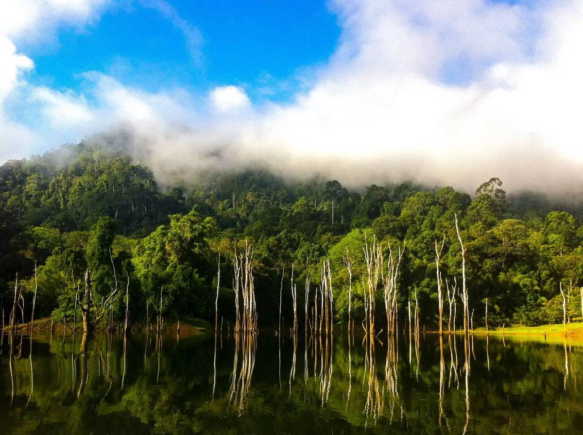 Private Khao Lak | Phuket - Land Tours together with VillaCarte