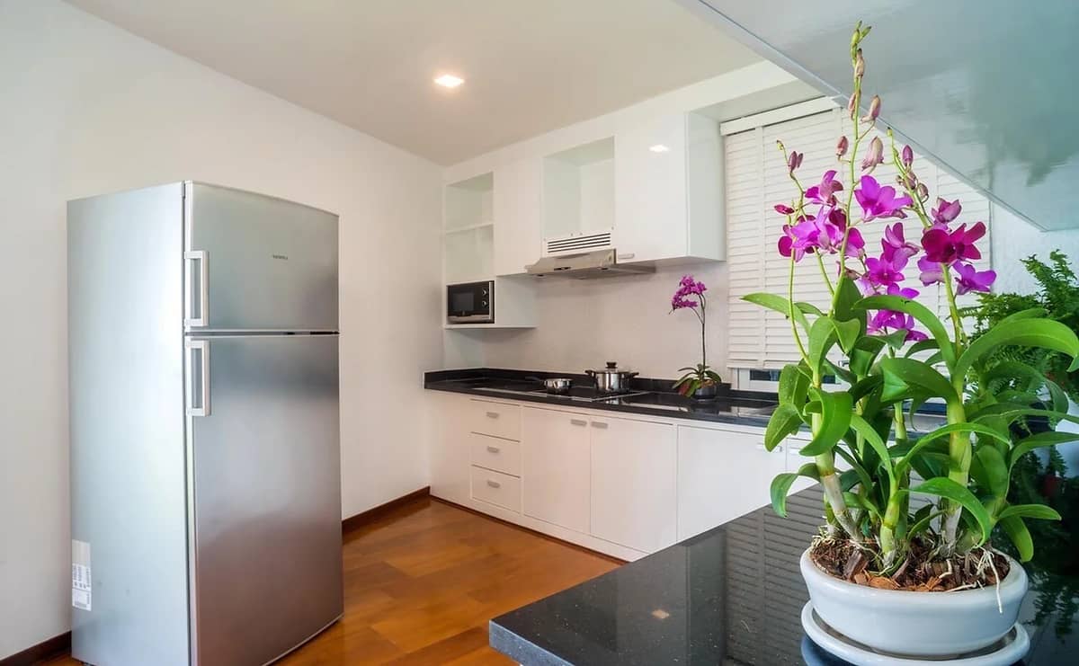Rent villa Lamborghini, Thailand, Samui, Choeng Mon | Villacarte