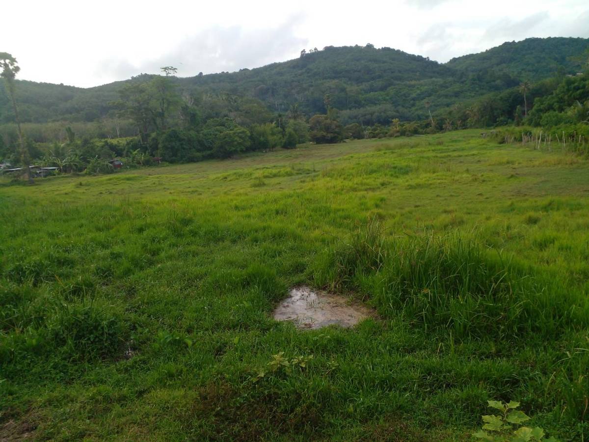 Land for Sale, Thailand, Phuket, Bang Tao | Villacarte