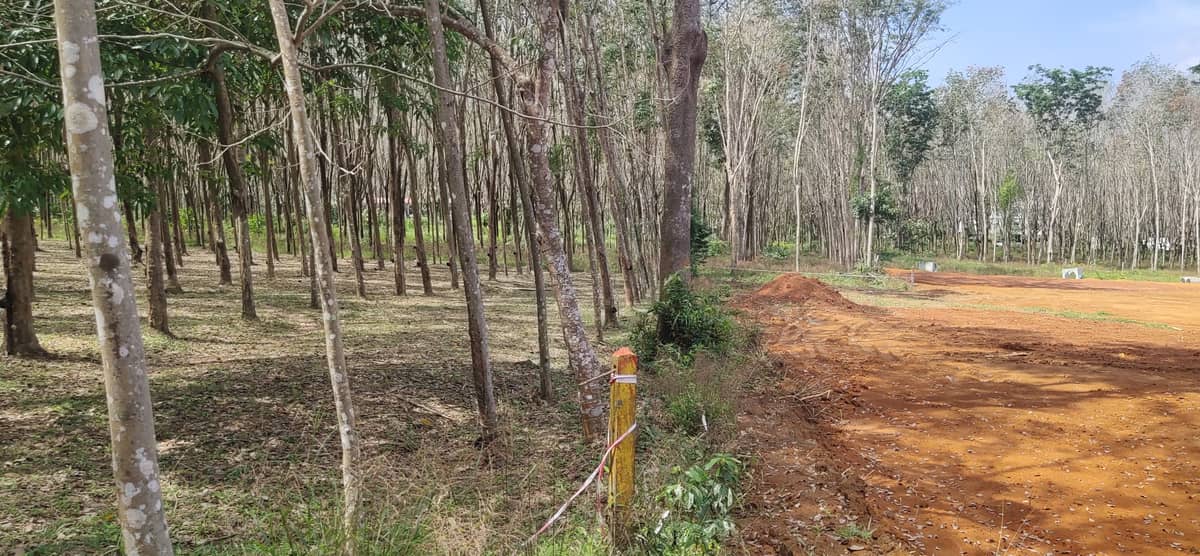 Land for Sale, Thailand, Phuket, Bang Tao | Villacarte